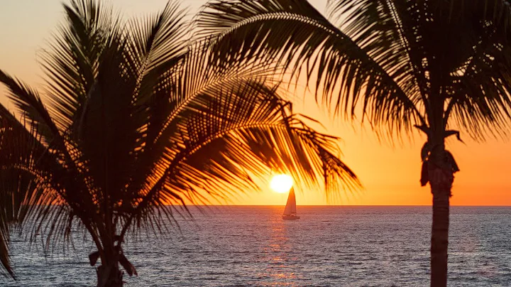 In the Sun -  Chillout Lounge Relaxing Music, Ibiza Relax Beach Study Cafe Background