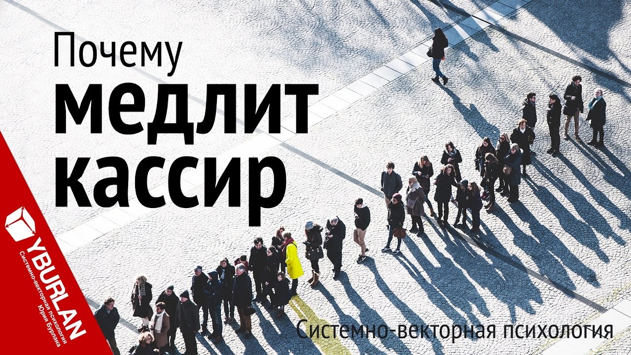 Почему медлим с украиной. Векторная психология. Системно-Векторная психология. Системно Векторная психология вектора. Векторы Бурлана.