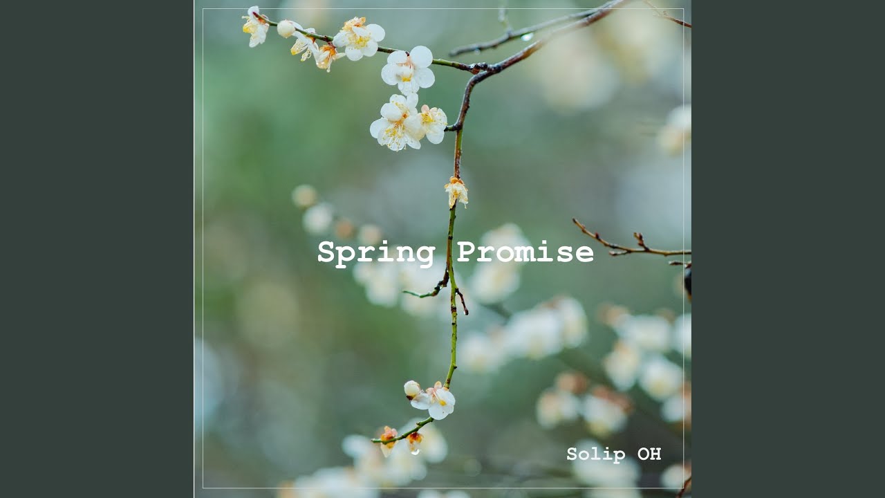 Spring Promise Spring Promise - YouTube