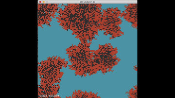 SIR model on square lattice