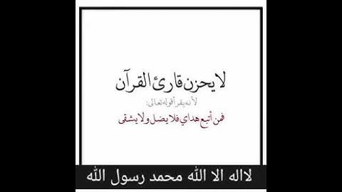 محمد راتب النابلسي لا يحزن قارئ القران لانه يقرا اقوله تعالى