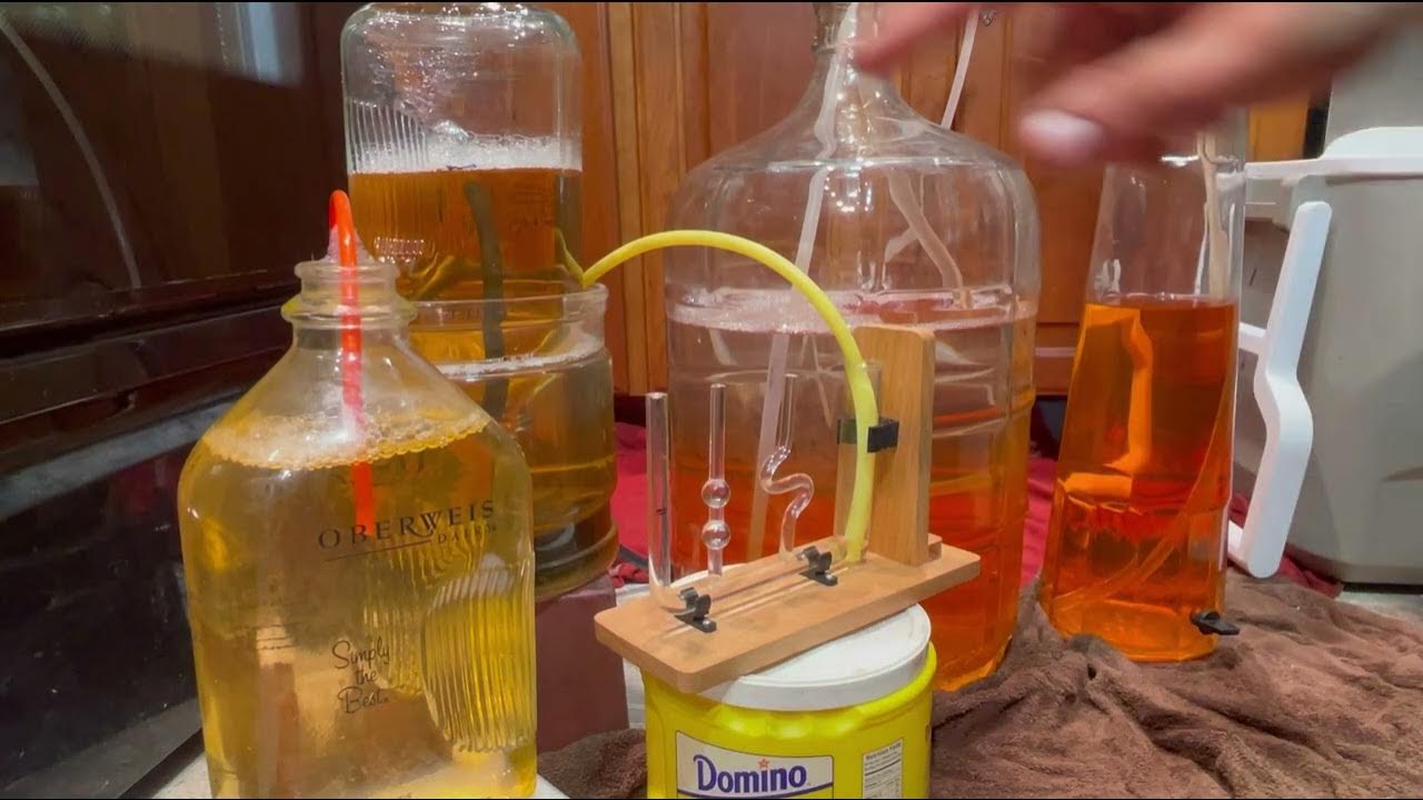 Pascal Liquid WATER LEVEL Siphon Chain Apparatus hydrostatic PARADOX pressure science