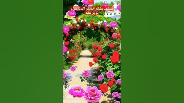 فواتح سوره الاحزاب بصوت القارئ الشيخ فارس عباد #اكسبلور #اكسبلورفولو