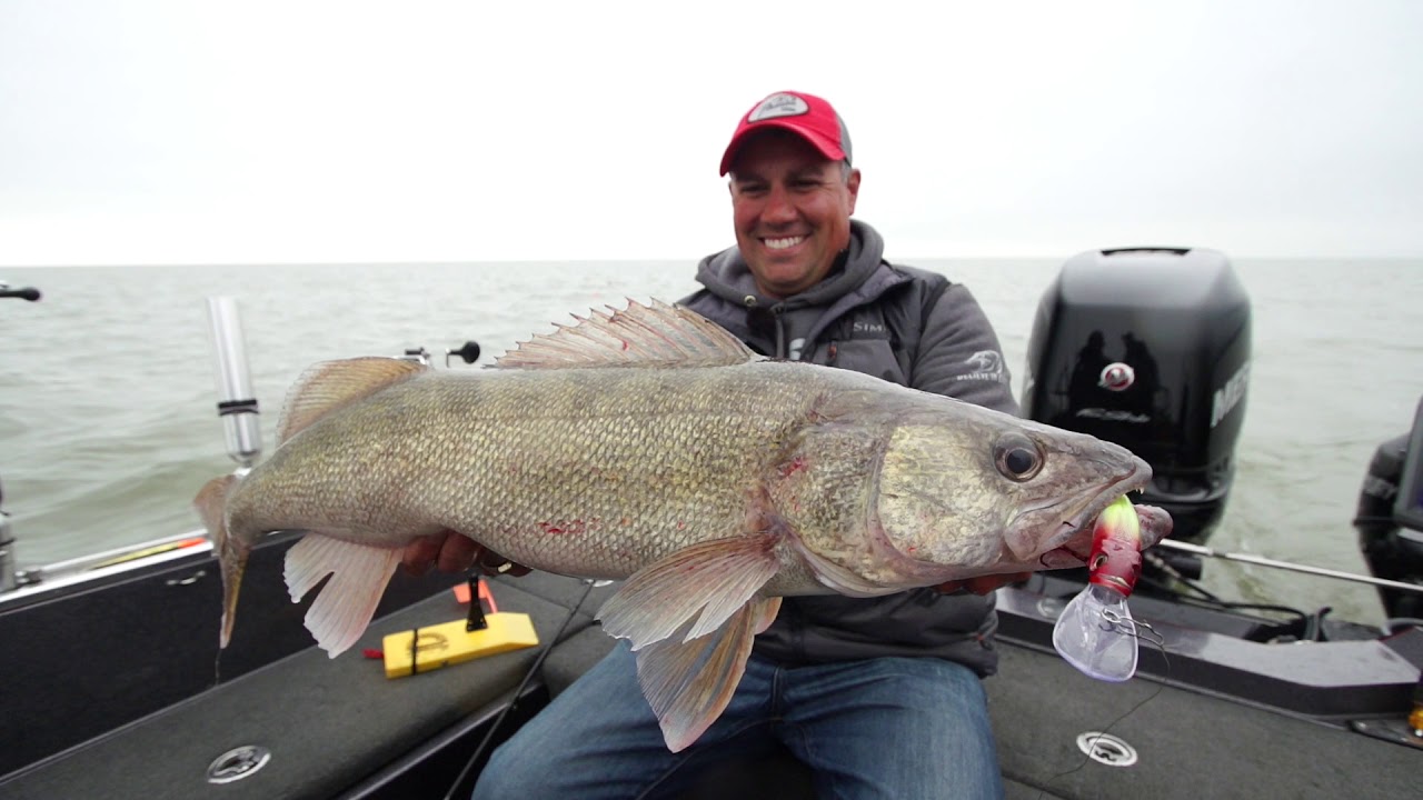 PHANTOM LURES SIZZLE