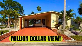 The Back Yard Of This Florida Home SHOCKED ME (Ruskin FL)!
