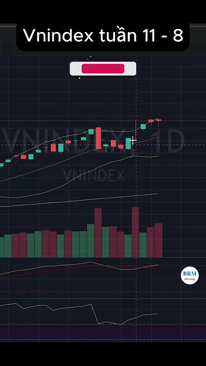 Phân tích kỹ thuật Vnindex tuần 11 - 8