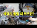 닥터베크만 세탁조클리너&이염방지 매직시트 공동구매