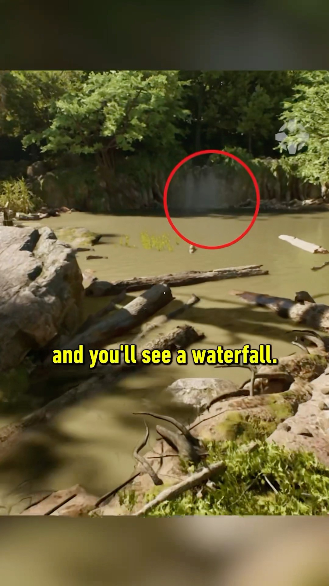 Easy to miss Indiana Jones Easter egg