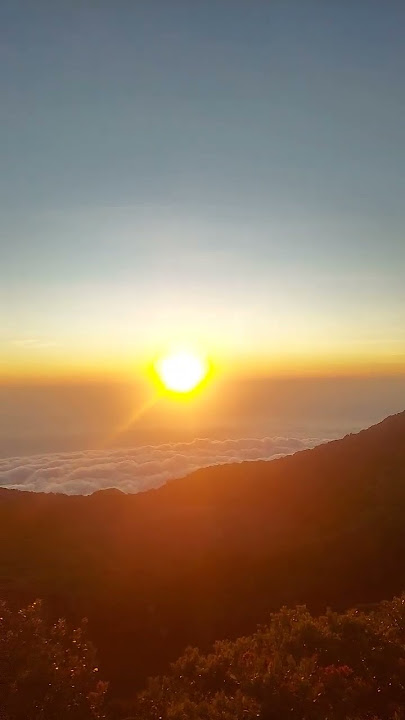 Mentahan Bahan Story #mentahan #story #storywa #sw #alam #pendaki #footage #bahansw #sunrise