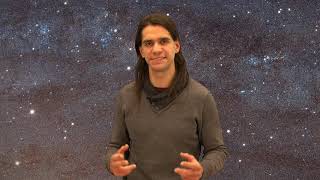 ProjetoMEFT: Black Holes, Gravitational Collapse and Critical Phenomena