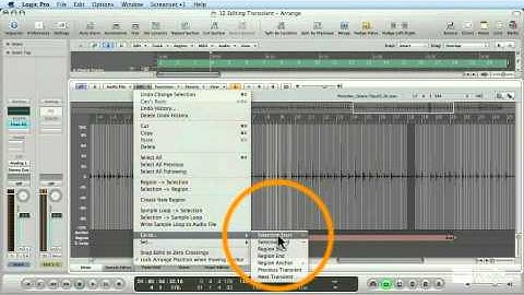 Flex Time Editing - Soling Transients in the Simple Editor