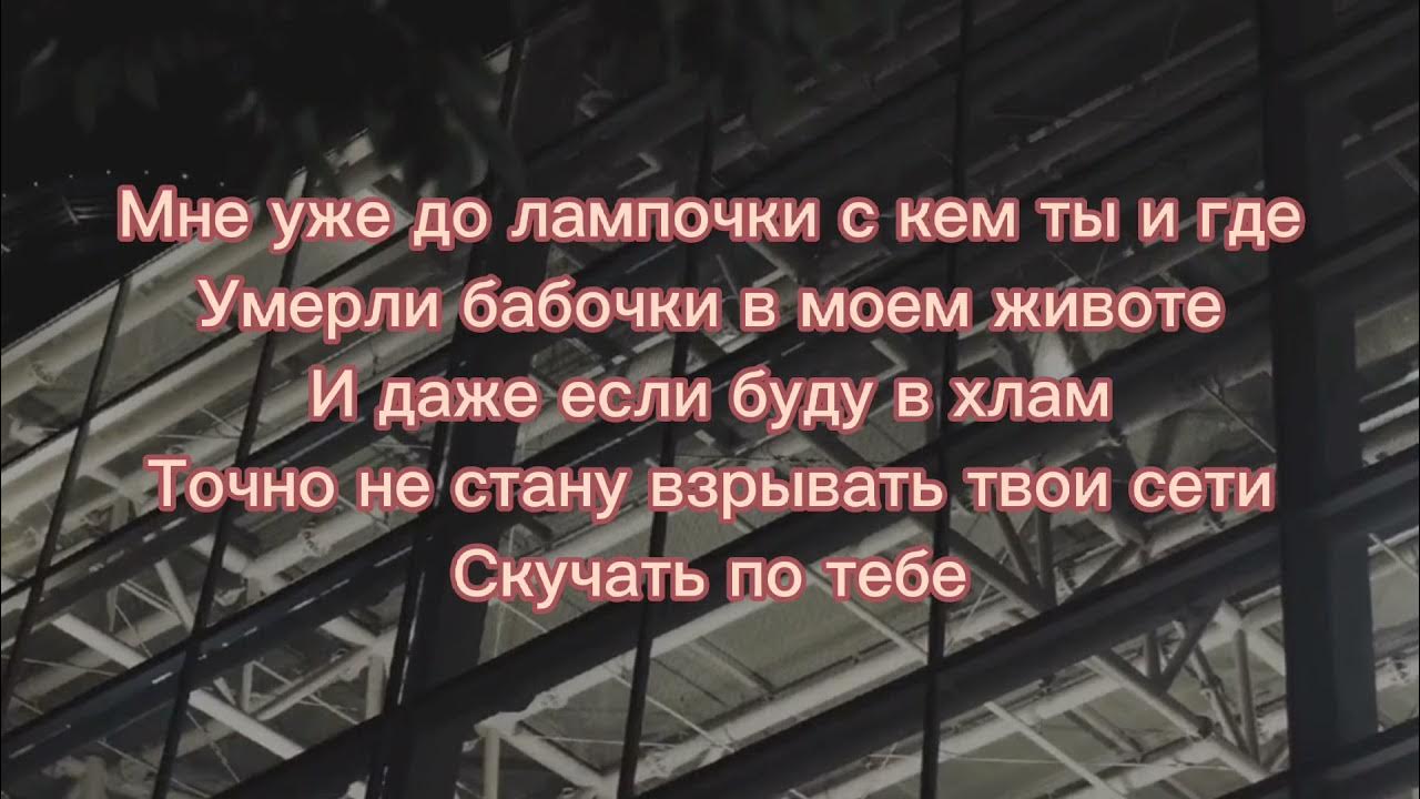 Бабочки в животе песня текст. Текст песни бабочки в животе. Бабочки в Моем животе песня текст. Песня бабочки в животе песня текст. До лампочки Zapolya.