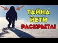 Ученые Наконец Выяснили, Кто Такой Йети