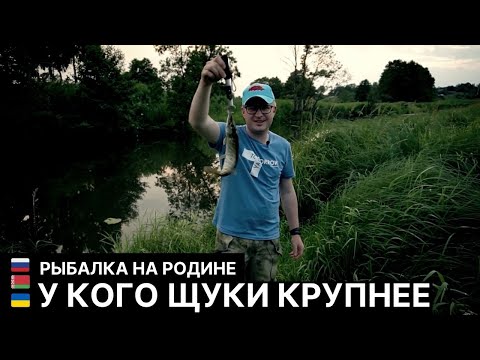 У кого щуки крупнее // Рыбалка на Родине / #12