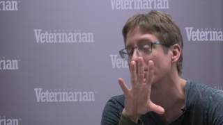 Differentiating Between Types of Respiratory Distress in Cats