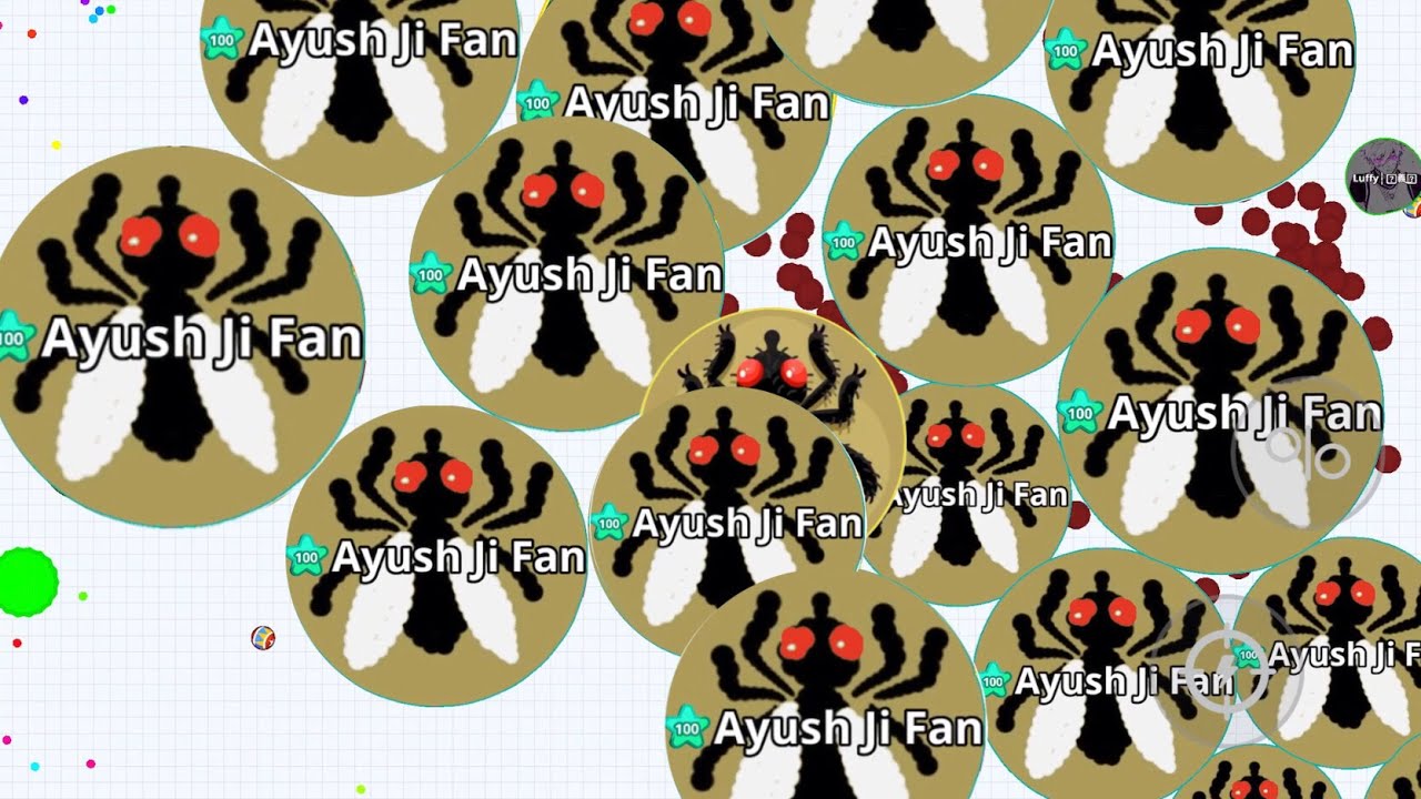 BEST OF FLY SKIN AGARIO - YouTube