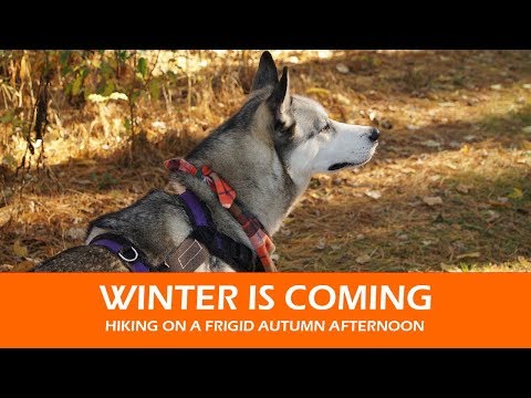 WINTER IS COMING | Cold Autumn Hike at Governor Bebb Park