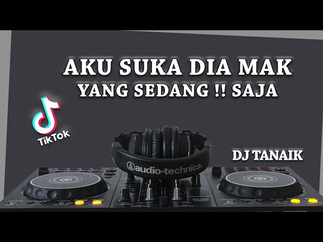 DJ AKU SUKA DIA MAK AKU SAYANG DIA MAK REMIX VIRAL TIKTOK  2021  ( DJ TANAIK ) class=