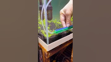 Ⓜ️Product Link in Comments!Ⓜ️ Ultra-Thin Aquarium Oxygen Bubble Strips