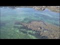 MANNIN BAY SEAL COLONY