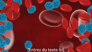 Interactive Projector Www.pub-Led.pro 33 6 5217 2524