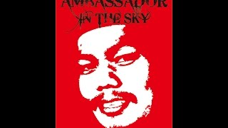 ambassador in the sky