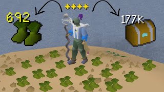 Jagex Just Made Bot Busting So Much Better