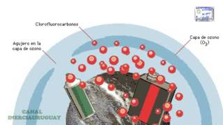 OZONE LAYER CFC COMPOUNDS AND THEIR CONSEQUENCES WELL EXPLAINED ANIMATION