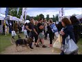 2018 SsangYong Blenheim Palace Horse Trials