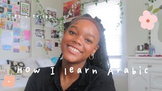 How I Self Study Arabic In Quarantine | How I Learn Arabic pt. 1 screenshot 3
