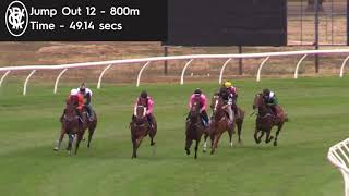 Flemington Jump Outs 18 Feb 2019 Jump out 12