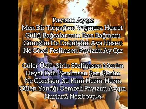 Payızı Sevenleri Tağ Edin.🍁 İnstaqram:sairqadn  #payız #autmn #sairqadn