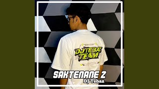 Saktenane 2