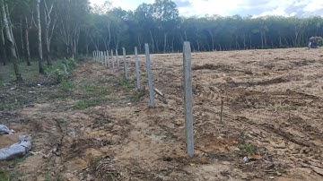 GIÁ NHẬN KHOÁN CÔNG TRỒNG TRỤ BÊ TÔNG và kéo lưới cho những ai chưa biết/ptvl #171