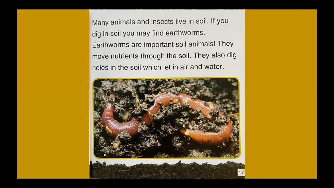 Why Do We Need Soil YouTube