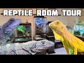 【ルームツアー】爬虫類に囲まれたリビングを紹介します！～REPTILE ROOM TOUR!!～