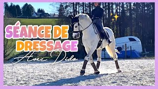 SÉANCE DE DRESSAGE - DIDO 🥳 SÉANCE DE DRESSAGE - DIDO 🥳