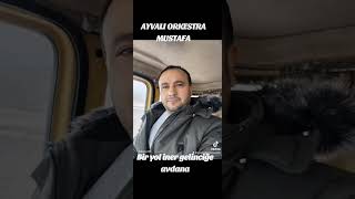 Mustafa Ayvalı Bir Yol Gider Gelinciğe