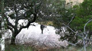 Ruta lorcha y pedrera villalonga por el serpis,12-2-11.AVI