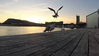 Harbour sunset sonnenuntergang ...