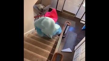 Videos I have saved on my phone, w/ no context, pt. 3.