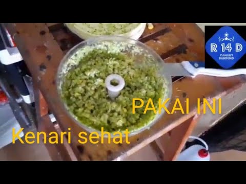 Video: Minyak Kenari - 4 Resep Dari Partisi, Daun, Dan Kenari Hijau