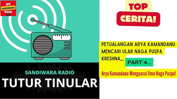 ARYA KAMANDANU Menguasai Ilmu Naga Puspa.!