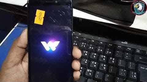 Walton GH7 | FRP | Bypass | Miracle Box