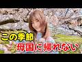 この季節は絶対母国に帰れない。
