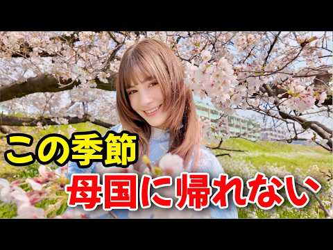 やなっちチャンネル - YouTube