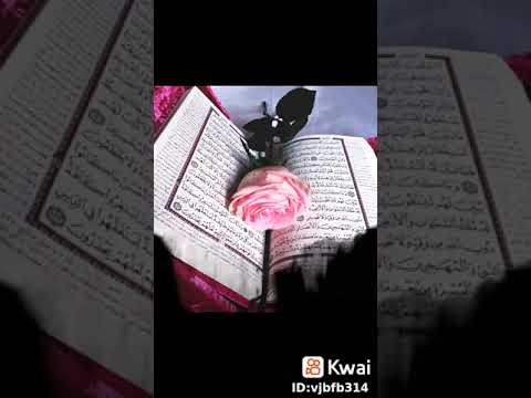 صبحكم الله بالخير والعافيه