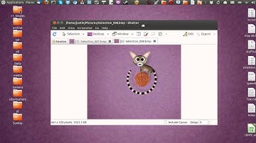 Snipping Tool in Ubuntu 13.04