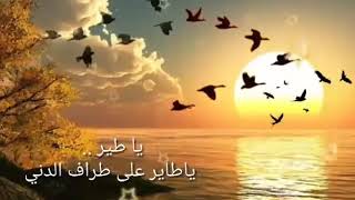 ياطير ياطاير على اطراف الدني ....فيروز😍