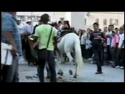 Funny video 2022 Cute blonde teen falls of a horse that slipped!